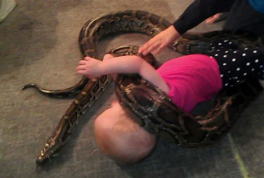 Snake 1